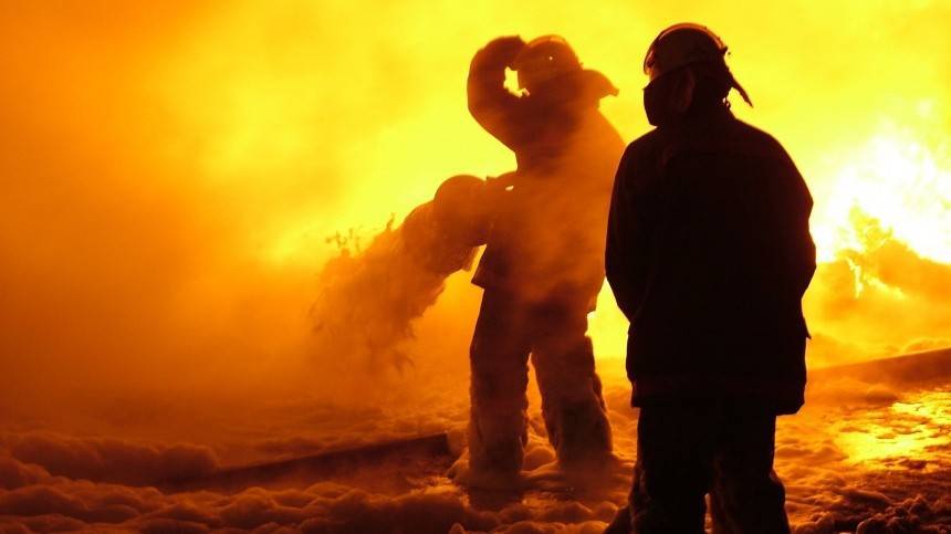 Пять человек сгорели при пожаре в садоводстве в Ленобласти