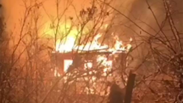 Видео с места гибели семьи в пожаре в Ленобласти