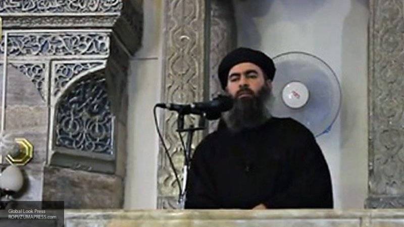 США выдумали фейк о том, что логово "убитого" аль-Багдади находилось в Идлибе — эксперт