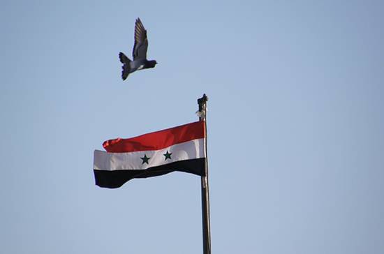 Дамаск предложил провести следующее заседание Конституционного комитета Сирии