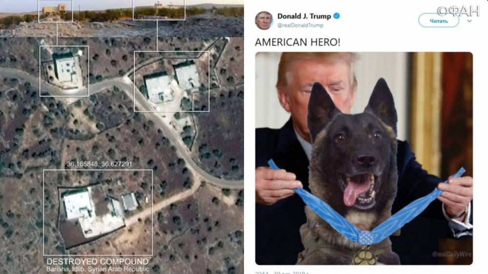 Трамп наградил участвовавшего в «ликвидации» аль-Багдади пса и назвал его героем