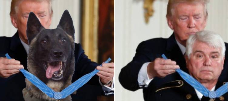 Трамп опубликовал коллаж награждения собаки. Собакой заменили ветерана Вьетнама