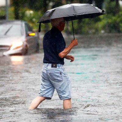 До 12 человек увеличилось число погибших в результате ливней в Японии