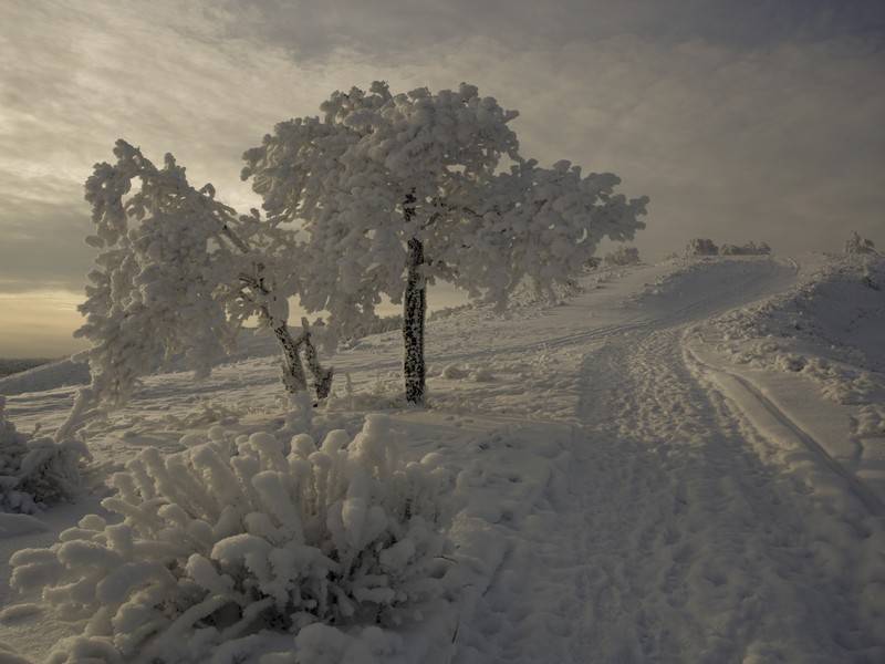 Россию назвали самой красивой страной для зимних путешествий