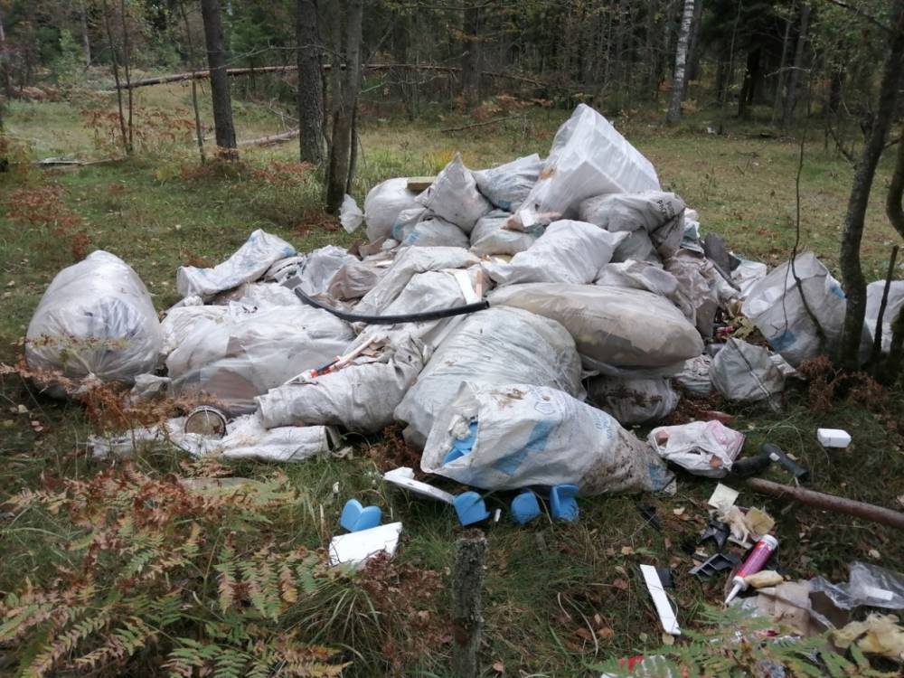 По требованию прокуратуры в Пестово очистили от мусора прибрежную зону