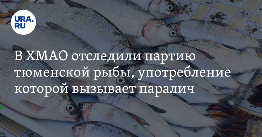 В ХМАО отследили партию тюменской рыбы, употребление которой вызывает паралич
