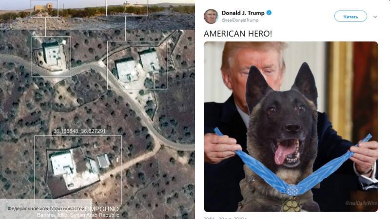 Видео Пентагона противоречит рассказам Трампа о «ликвидировавшей» Багдади собаке