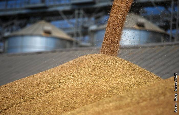 Продажи зерна российских аграриев за 8 месяцев снизились на 23%