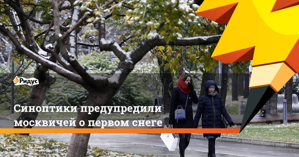 Синоптики предупредили москвичей о первом снеге
