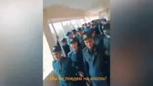 Узбекские милиционеры выступили против отправки на хлопок | Вести.UZ