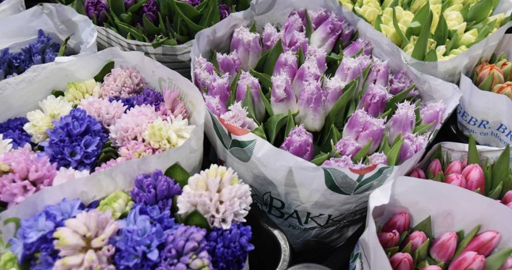 Эксперт дала рекомендации по выбору цветов на День учителя