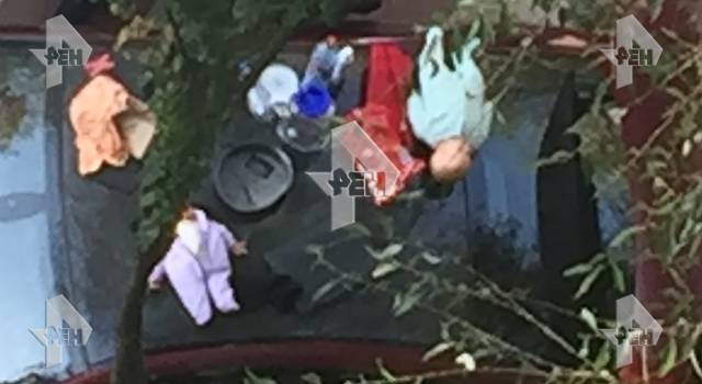 Фото: в авто сына вице-президента МТС были разбросаны куклы-младенцы