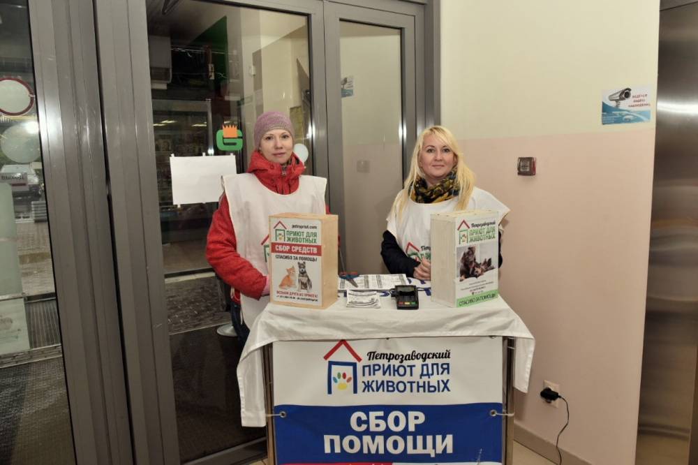 Акция по сбору помощи для бездомных животных началась в Петрозаводске