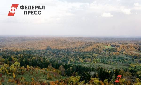 Названа вероятная сумма ущерба от лесных пожаров в России
