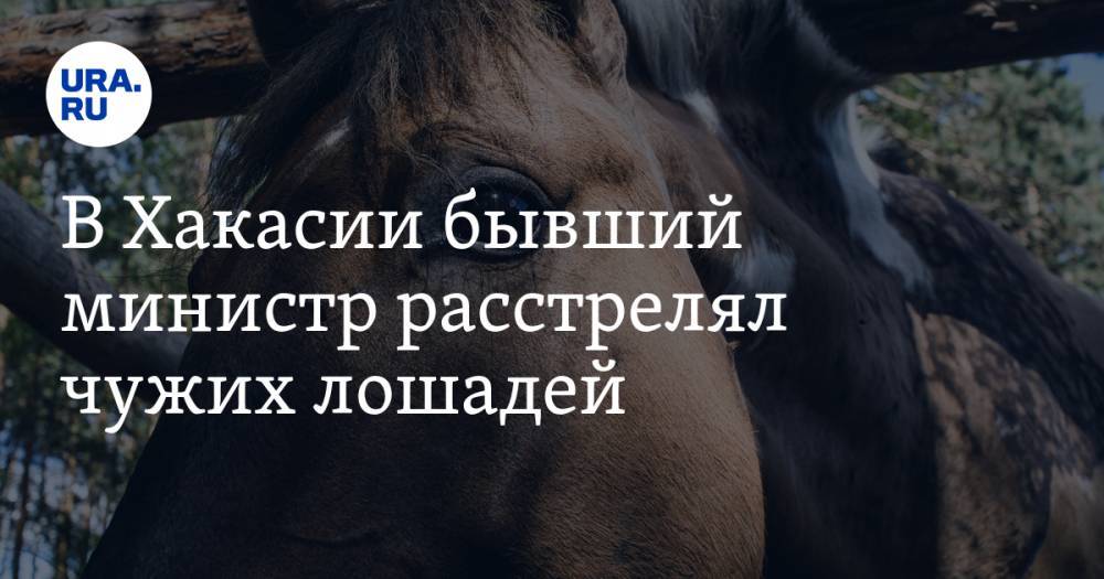 В Хакасии бывший министр расстрелял чужих лошадей