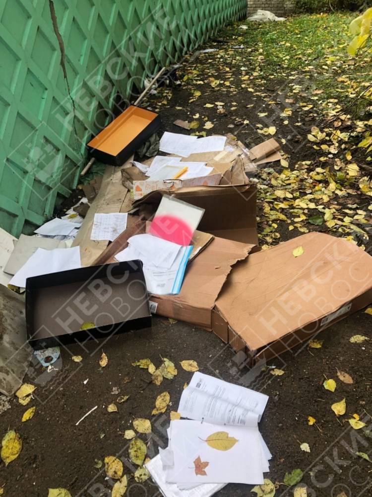 В Петербурге на мусорке нашли документы, книгу жалоб и анкеты клиентов Почты России