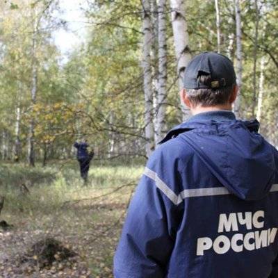 6&nbsp;дней потребовалось спасателям, чтобы найти пропавшую пенсионерку под Архангельском