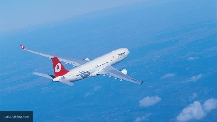Пьяный пассажир вынудил пилотов самолета, летевшего в Стамбул, вернуться в аэропорт вылета
