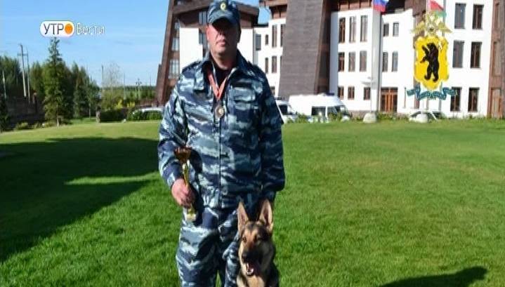 Зоркий глаз и тонкий нюх: служебная собака из Ярославля признана одной из лучших