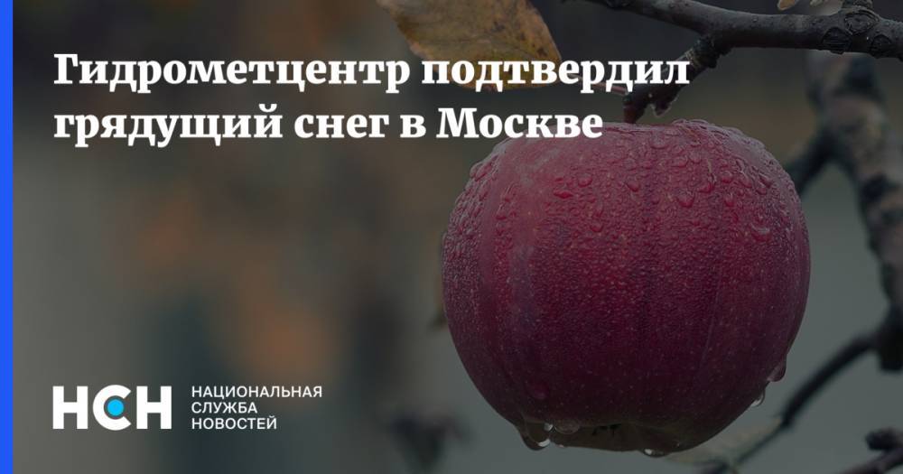 Гидрометцентр подтвердил грядущий снег в Москве