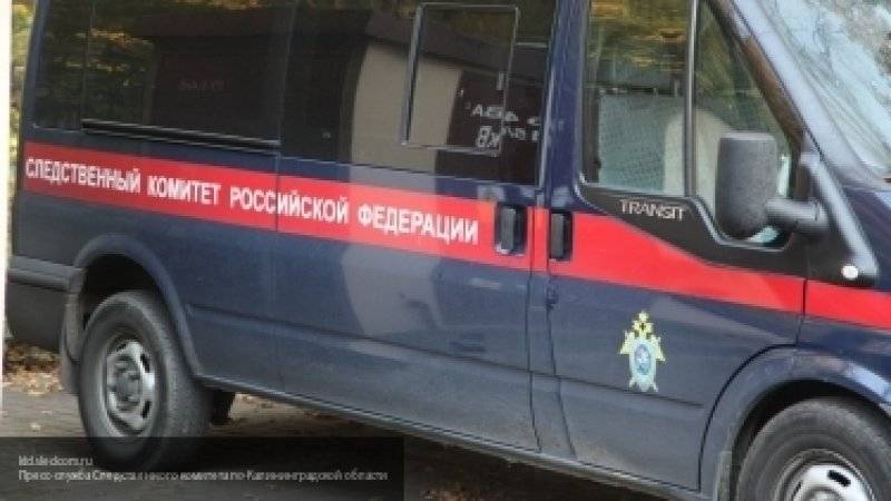 Следственный комитет расследует обстоятельства падения строительной люльки в Москве