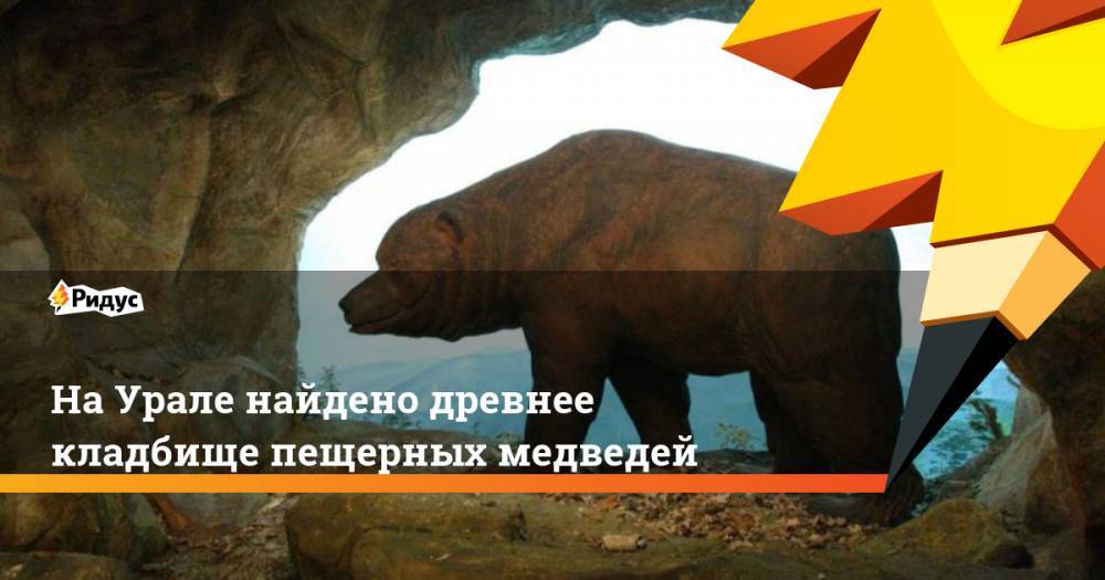 На Урале найдено древнее кладбище пещерных медведей