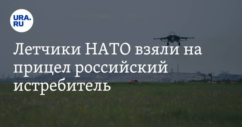 Летчики НАТО взяли на прицел российский истребитель. ФОТО
