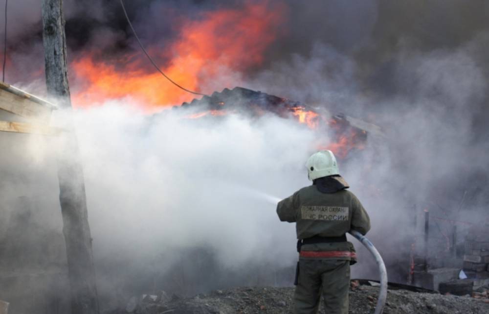 Ночной пожар в Ломоносове уничтожил деревянный сарай