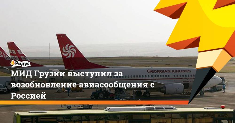 МИД Грузии выступил за скорейшее возобновление авиасообщения с Россией