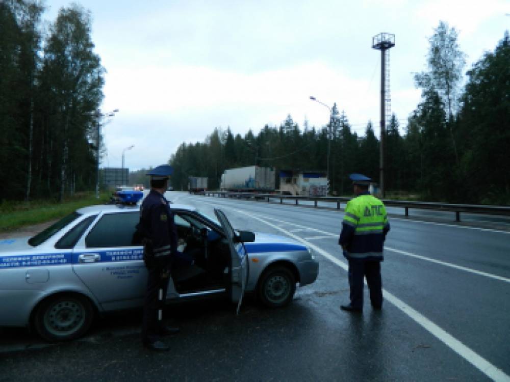 В Новгородской области прицельно искали краденые автомобили
