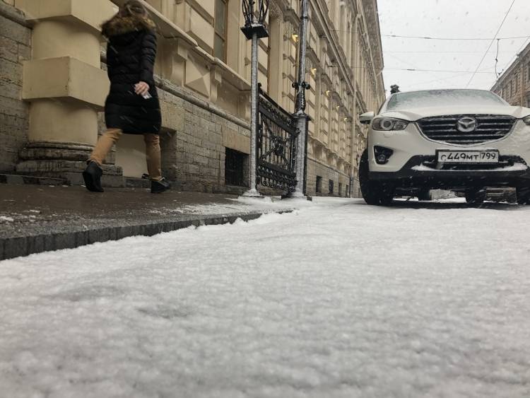 Жители Петербурга делятся в соцсетях фотографиями первого снега