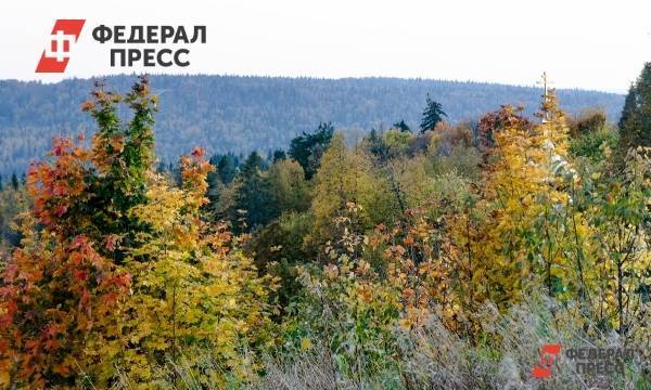 Виновниками уничтожения тайги на Байкале назначили бакланов