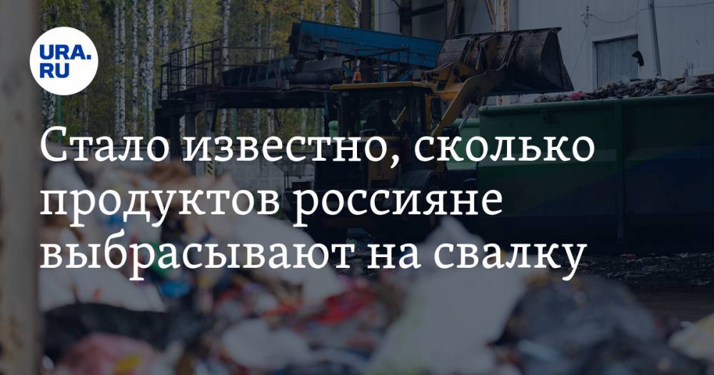Россияне ежегодно выбрасывают тонны еды стоимостью более триллиона рублей