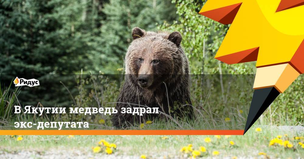 В Якутии медведь задрал экс-депутата