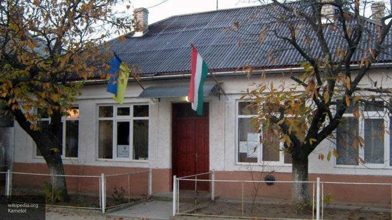 Экс-депутат Рады усомнился в новости о массом лишении украинцев венгерских паспортов