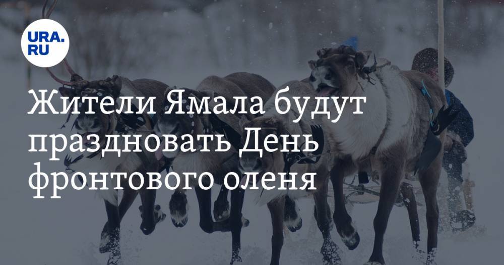 Жители Ямала будут праздновать День фронтового оленя