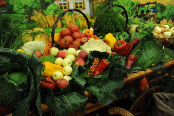 Главврача больницы в Саратовской области уволили за перевозку пациентов с овощами
