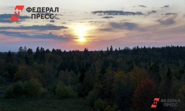 Копосовской дубраве в Нижнем Новгороде вернут особый статус