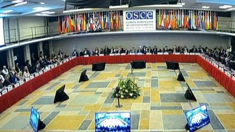 Делегация РФ на сессии ПА ОБСЕ предложила провести год защиты климата
