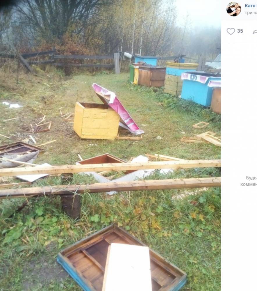 В Прилузском районе медведи разворотили пасеку прямо возле жилого дома