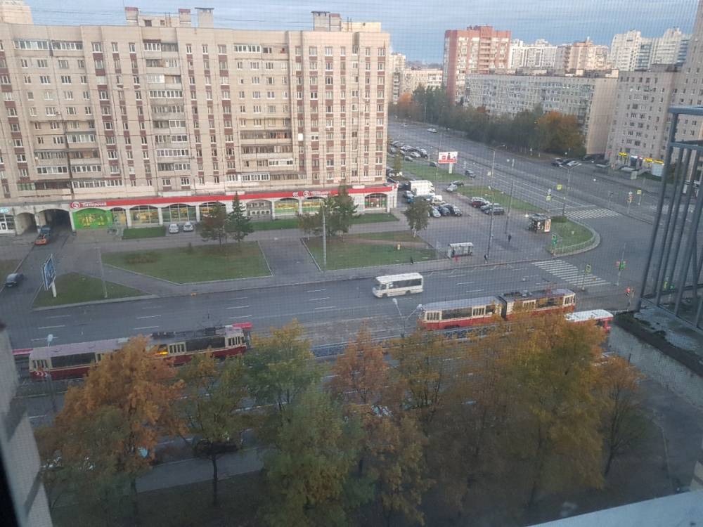 Петербуржцы обрадовались открытию трамвайного движения после ремонта на проспекте Энгельса