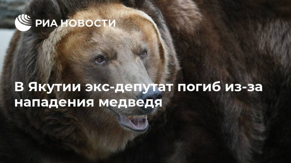 В Якутии экс-депутат погиб из-за нападения медведя