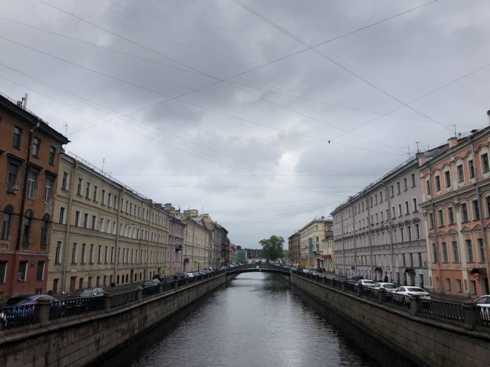 Дожди и заморозки ожидаются в Петербурге 6 октября