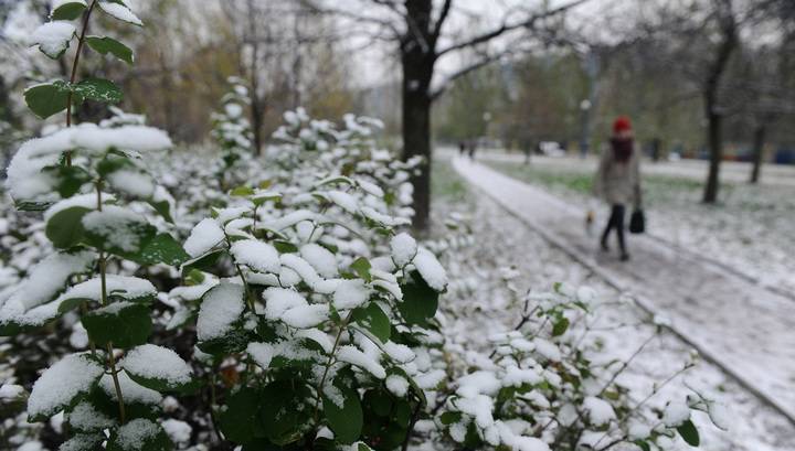 МЧС предупредило москвичей о снеге и сильном ветре