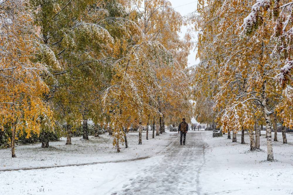 В Москве пошел первый снег