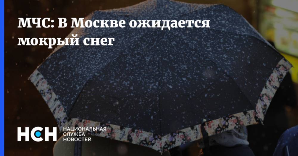 МЧС: В Москве ожидается мокрый снег