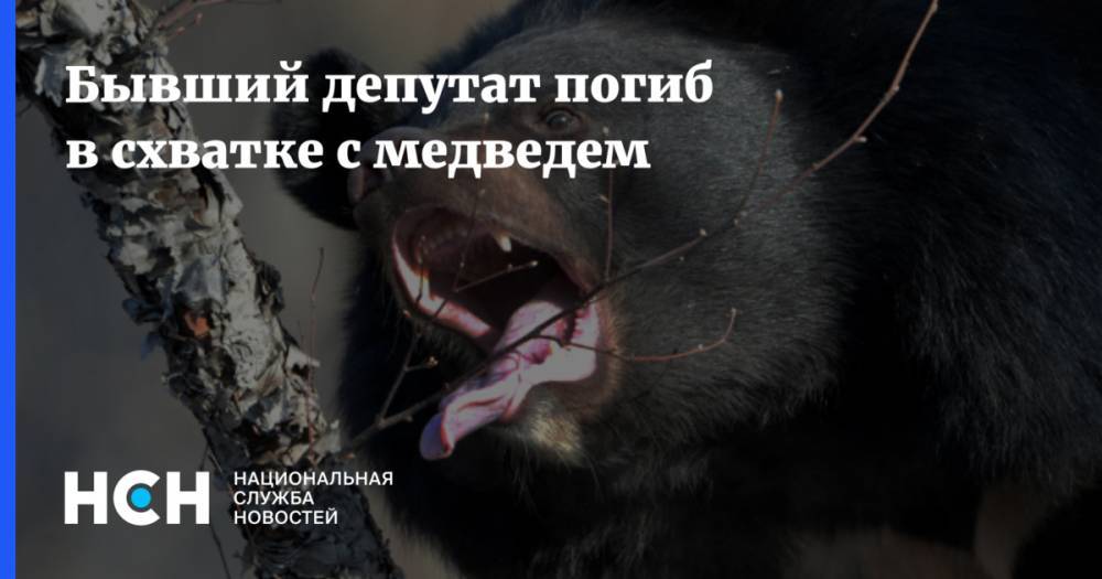 В Якутии в схватке с медведем погиб экс-депутат