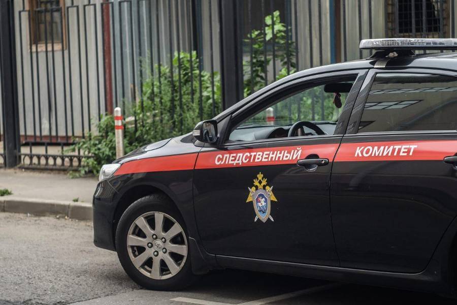 СК возбудил уголовное дело после убийства студентки в Подмосковье