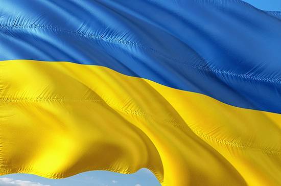 В Киеве прошла акция против реализации «формулы Штайнмайера»