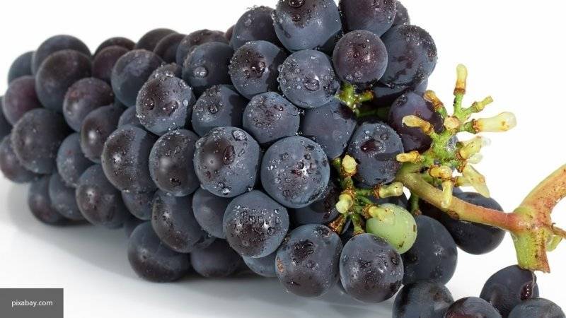 Эксперты рассказали о полезных свойствах винограда